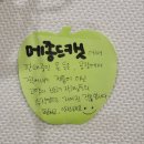 메종드캣 | 고양이 미용 / 무마취미용 / 탄산스파 / 광주 남구 / 메종드캣