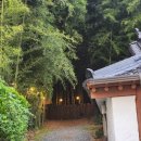 고립낙원 이미지