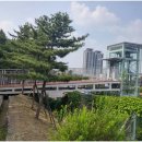 필동어린이집 이미지