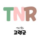 라파동물병원 | TNR 경북 길고양이 중성화 수술 신청 방법 고령군 2024