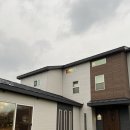 바바호미 이미지