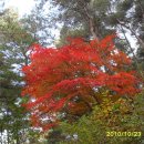 장암마을회관 이미지