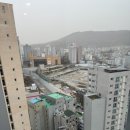 봄작시티24 이미지