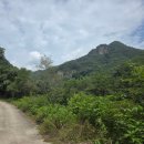 지장산 등산로 | 포천 계곡 지장산계곡 주차 여름 휴가 담터 순담 갔다간 후기