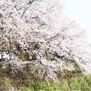 지에스(GS)하동화개장터