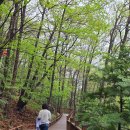 제암산자연휴양림 식당 이미지