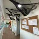 라푸앙트발레학원 | 마포 발레학원 라푸앙트발레학원 남자아이도 잘 다녀요~