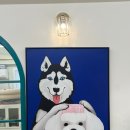 쁘띠몽펫샵 이미지