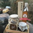 호티2리백운경로당 | 팔만대장경 이운순례길 체험과 심원사 템플스테이하고왔어요.