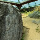 영풍월호리마애석불좌상 이미지