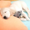 라이프 - 클릭해 보세요!!!