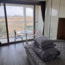 제주도게스트하우스파티고투베드 이미지