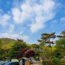 윙윙흑염소 | 화성 산들래 캠핑장 좋은점과 아쉬운 점을 말하다