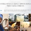 엘리나의원 이미지