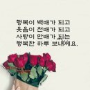 꿀사랑