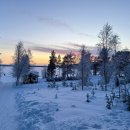 이덕로 | 고소작업차 스카이와 잔디 풀 관리가 만나는 현장 이야기: 안전하게 높이 작업하고 푸르게 유지하는 방법