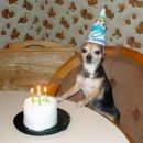 더블유카워시 김포점 | 생일기념 호캉스를 다녀왔어용 (김포 마리나베이 호텔 프리미어 더블룸 후기)