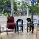 [전주 송천동 카페] 평화와 평화, 산책종점