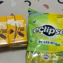 천태만상창조센터 화장실 | 한전아트센터 웨딩 바시움 스튜디오 웨딩 촬영 후기 (소품X, 한복샷, 간식)