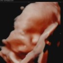 보람산부인과의원 이미지