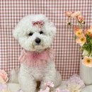 씻고놀개 이미지