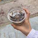 천해목장 이미지