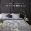 포그니이불 이미지