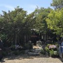 음성장수촌 | [충북음성] 음성 맛집 날씨 좋은 날 드라이브 코스로...백숙 맛집 '장수촌' (feat. 쟁반막국수 조합)