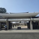 흔적으로의 여행 | 경주 혼자여행코스 국립경주박물관에서 만난 신라의흔적