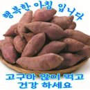 🙋‍♂️고구마에 이런 힘이 있었네 이미지