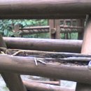 웅포문화체육센터 이미지