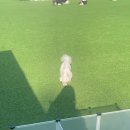 리앤드딩 이미지