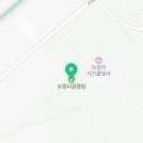 뉴얼리야영장 이미지