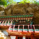 형제송입구 이미지