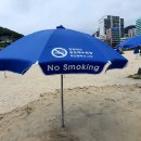 송도용궁구름다리 이미지