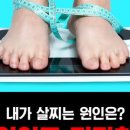 진주뷰티 이미지