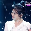 소풍라이브 이미지