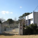 제포니