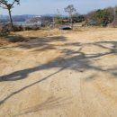 여주-0200 이미지