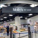 이마트 대전터미널점 몰리스 이미지