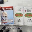 숲속아침 이미지