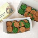 동변초등학교 이미지