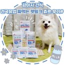 [강아지 간식]건국유업 짜먹는 펫밀크 츄르 후기#
