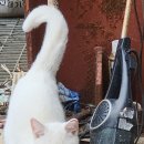 인제셀프세차장 이미지