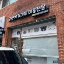 고양이 무마취미용 고미고미 화명점 이미지