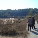 춘천농장 이미지