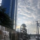 동백로 67 | 부산 웨스틴조선해운대 까밀리아 조식 메리어트 본보이 카드 쿠폰 사용 후기 (추가금 정보)