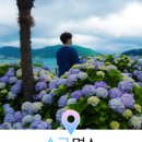 호텔더포라 이미지