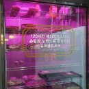 교대역 고기집 단체 룸 회식 장소 좋은 맛집 육가온 교대점
