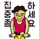 줌모터스 이미지